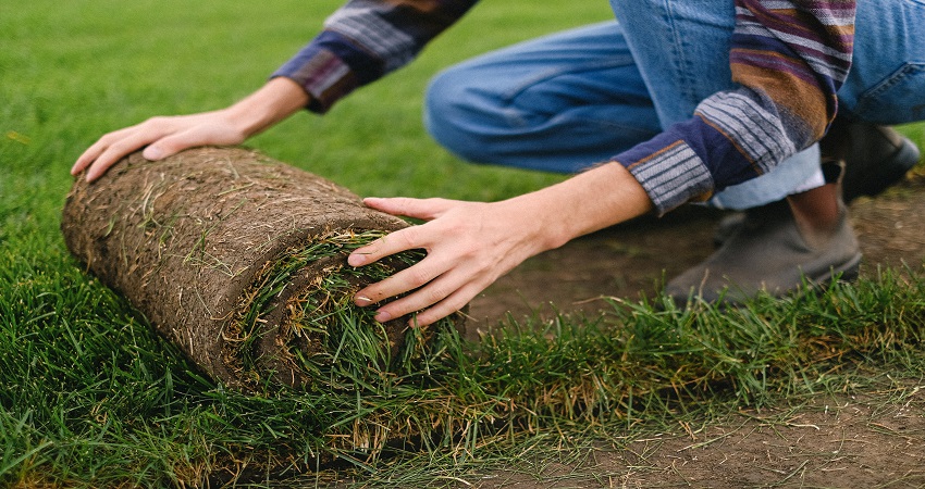 How To Lay Sod Over Existing Lawn Deo Landscaping