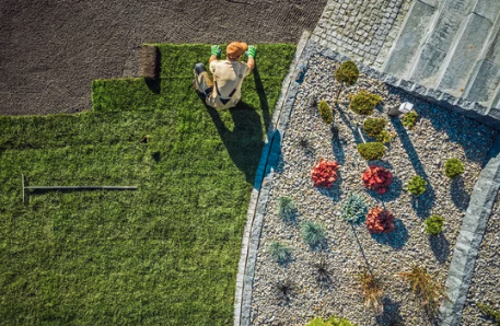 A vibrant, freshly installed sod lawn with rich green grass, neatly laid in a residential yard, showcasing a smooth and even surface under bright daylight.
